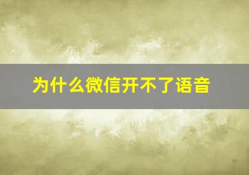 为什么微信开不了语音