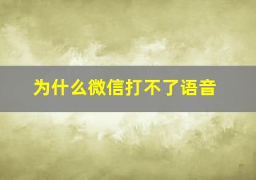 为什么微信打不了语音