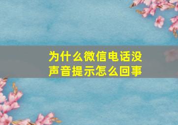 为什么微信电话没声音提示怎么回事