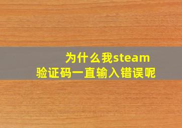 为什么我steam验证码一直输入错误呢