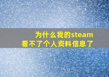 为什么我的steam看不了个人资料信息了