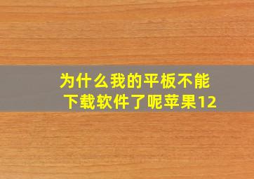 为什么我的平板不能下载软件了呢苹果12