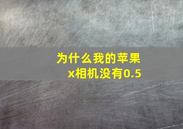 为什么我的苹果x相机没有0.5