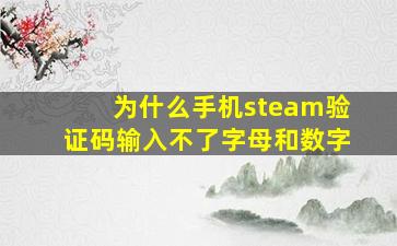 为什么手机steam验证码输入不了字母和数字