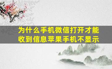 为什么手机微信打开才能收到信息苹果手机不显示