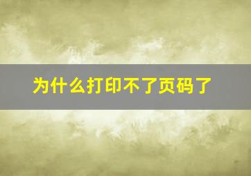 为什么打印不了页码了