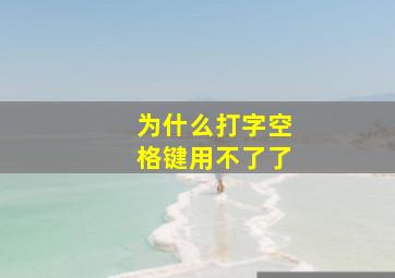 为什么打字空格键用不了了