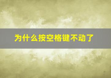 为什么按空格键不动了