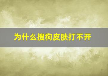 为什么搜狗皮肤打不开