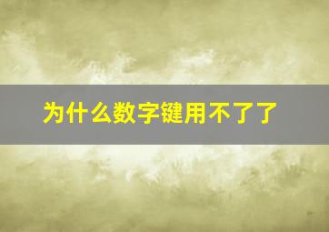 为什么数字键用不了了