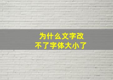 为什么文字改不了字体大小了