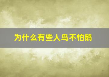 为什么有些人鸟不怕鹅