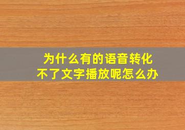 为什么有的语音转化不了文字播放呢怎么办