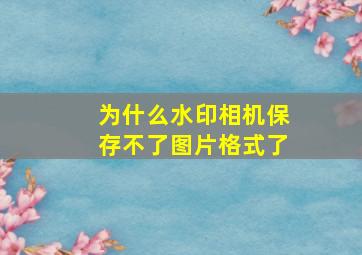 为什么水印相机保存不了图片格式了