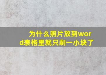 为什么照片放到word表格里就只剩一小块了