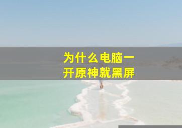 为什么电脑一开原神就黑屏