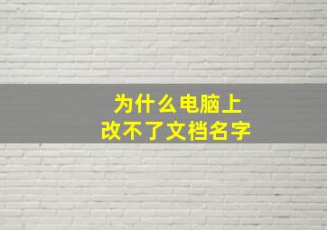 为什么电脑上改不了文档名字