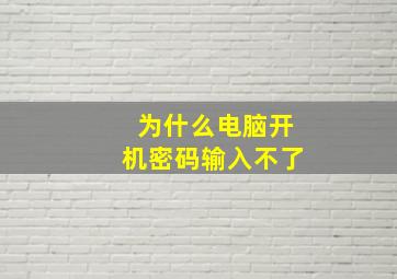 为什么电脑开机密码输入不了