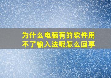 为什么电脑有的软件用不了输入法呢怎么回事