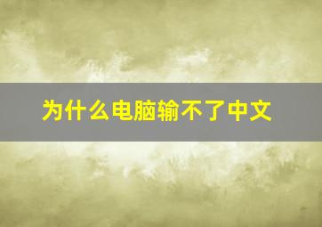 为什么电脑输不了中文