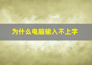 为什么电脑输入不上字