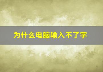 为什么电脑输入不了字