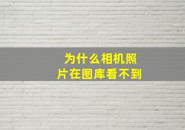 为什么相机照片在图库看不到