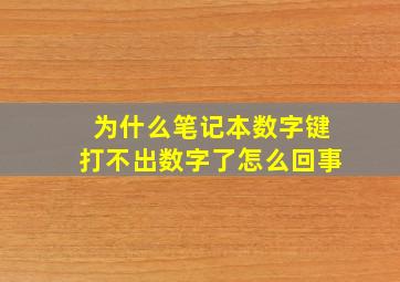 为什么笔记本数字键打不出数字了怎么回事