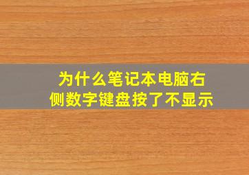 为什么笔记本电脑右侧数字键盘按了不显示