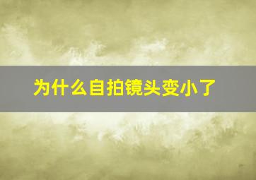 为什么自拍镜头变小了