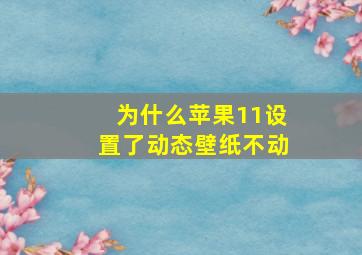 为什么苹果11设置了动态壁纸不动