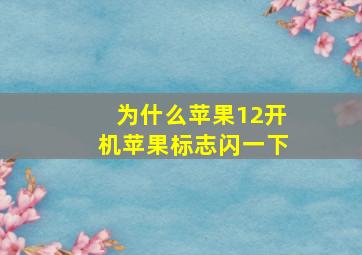 为什么苹果12开机苹果标志闪一下