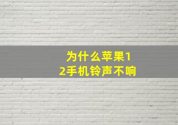 为什么苹果12手机铃声不响