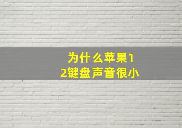 为什么苹果12键盘声音很小