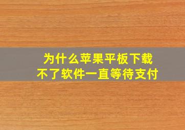 为什么苹果平板下载不了软件一直等待支付