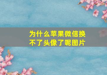 为什么苹果微信换不了头像了呢图片