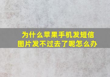 为什么苹果手机发短信图片发不过去了呢怎么办