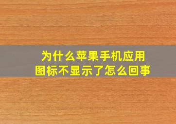 为什么苹果手机应用图标不显示了怎么回事