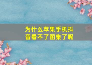 为什么苹果手机抖音看不了图集了呢