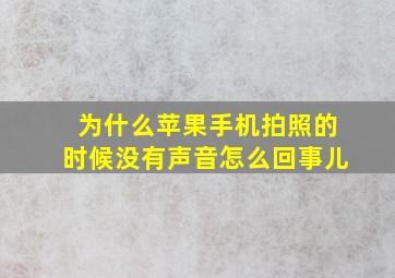 为什么苹果手机拍照的时候没有声音怎么回事儿