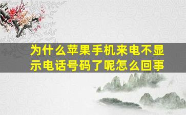 为什么苹果手机来电不显示电话号码了呢怎么回事