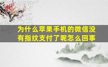 为什么苹果手机的微信没有指纹支付了呢怎么回事