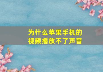 为什么苹果手机的视频播放不了声音