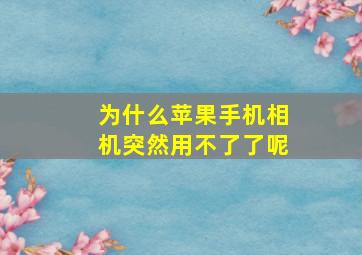 为什么苹果手机相机突然用不了了呢