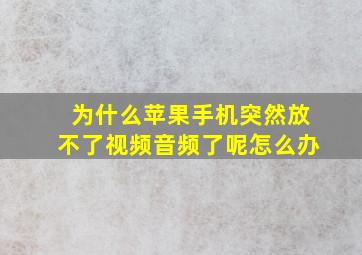 为什么苹果手机突然放不了视频音频了呢怎么办