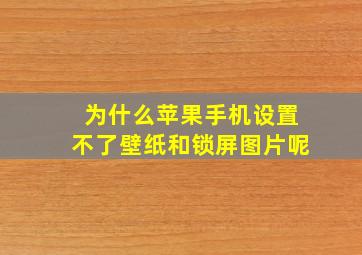 为什么苹果手机设置不了壁纸和锁屏图片呢