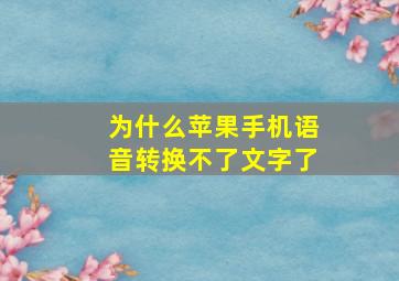 为什么苹果手机语音转换不了文字了