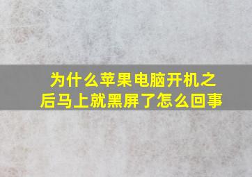 为什么苹果电脑开机之后马上就黑屏了怎么回事