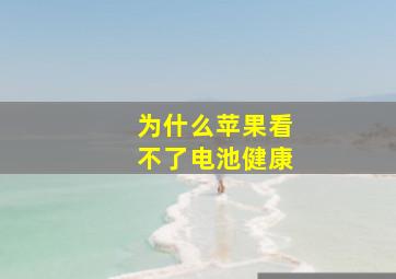 为什么苹果看不了电池健康