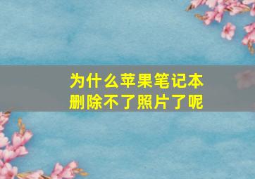 为什么苹果笔记本删除不了照片了呢